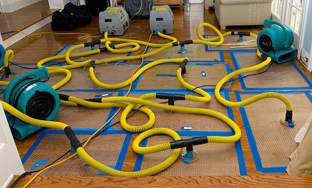 Professional Crawl Space Water Removal technician working in Louisville, KY